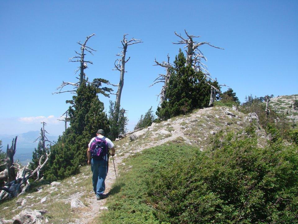 Montagne Rocciose Bed & Breakfast Frascineto Eksteriør bilde